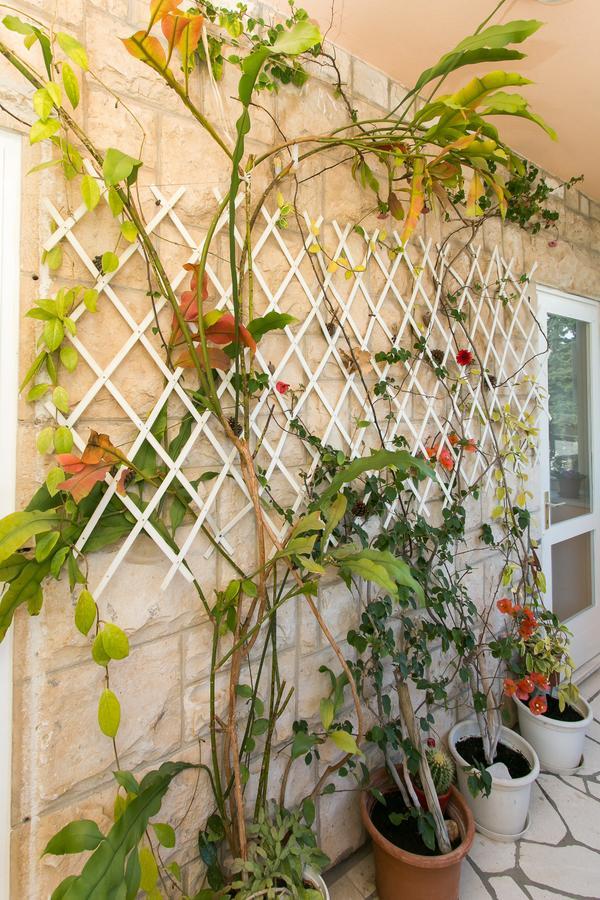 Yellow Room Guesthouse Dubrovnik Exterior foto